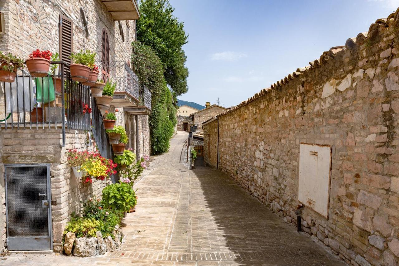 Villa Rustic House, Con Patio E Giardino, Assisi Centro Esterno foto